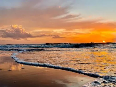 House Sunny Side - 1 Km From The Holiday home Noordwijk