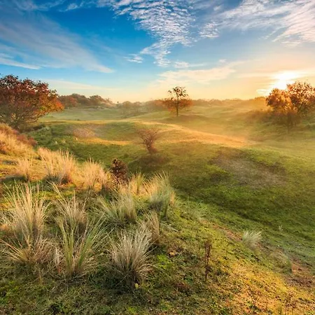 House Sunny Side - 1 Km From The Noordwijk