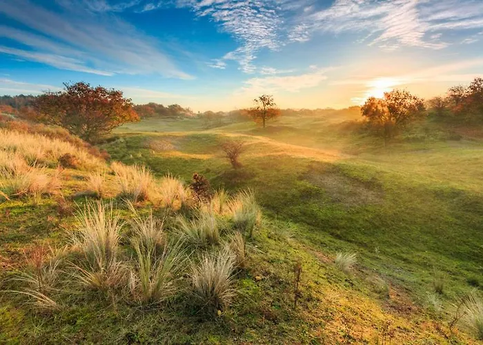 House Sunny Side - 1 Km From The Noordwijk
